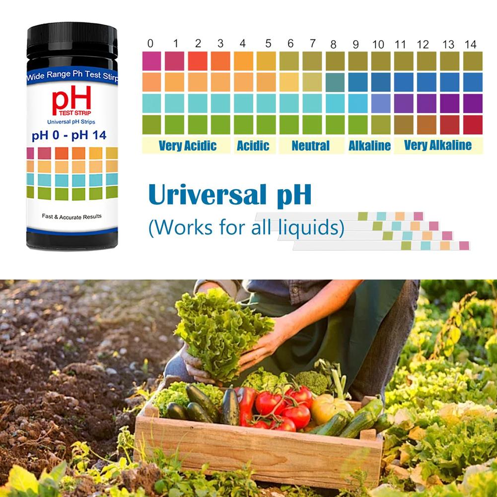 100 Buah Strip Tes PH Klorin S - Ph Strip Test ulasan dan harga